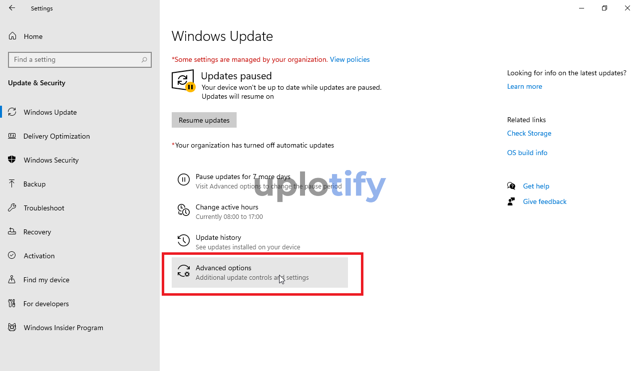 Advanced Options di Windows Update