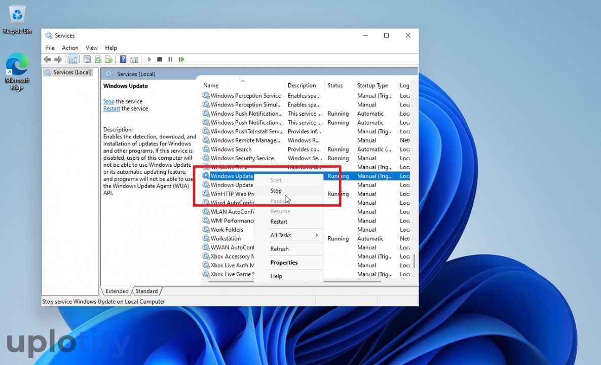 Opsi Stop Update Windows 11