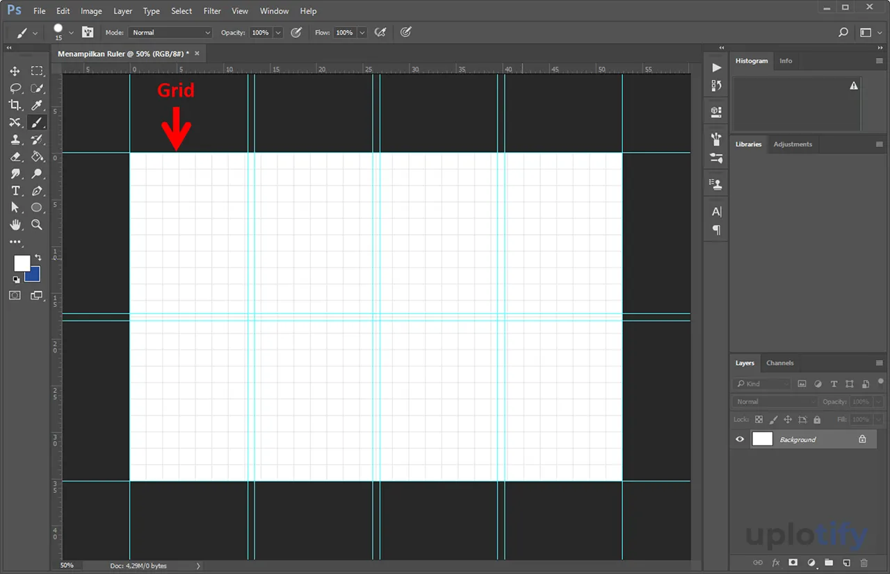 Guide dan Grid Berhasil Aktif di Photoshop