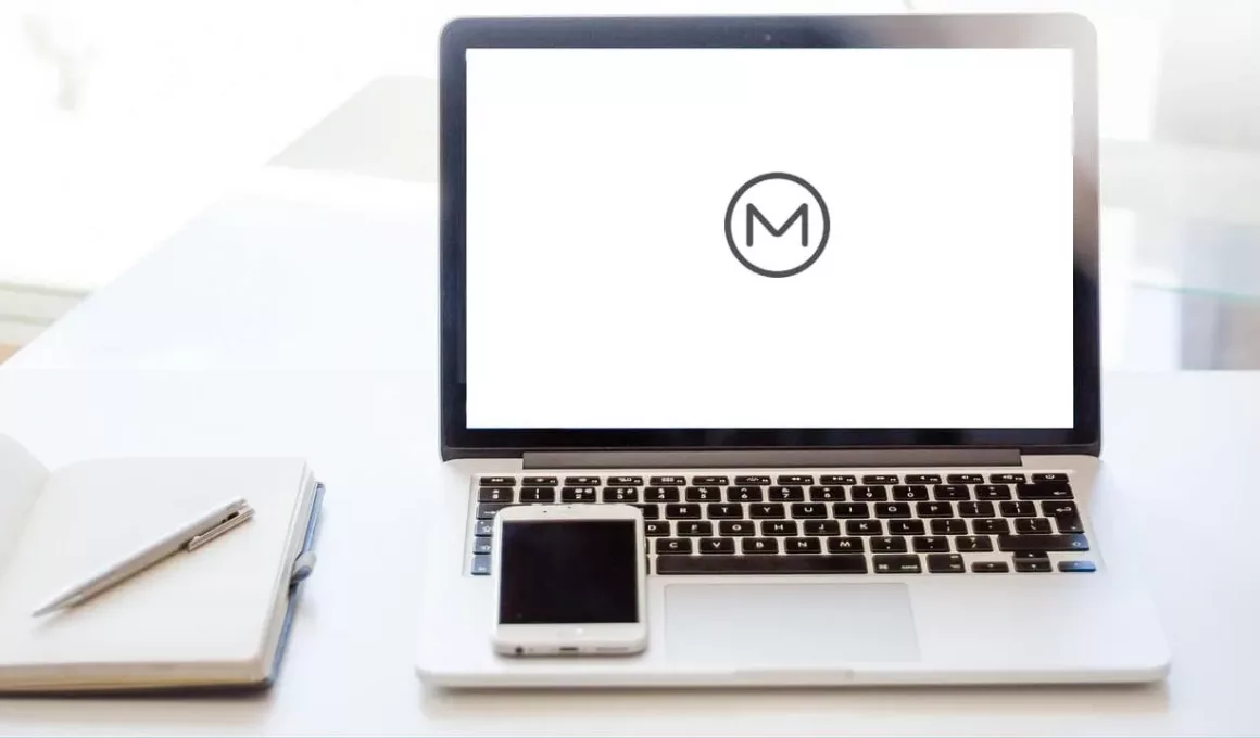 Cara Download Mega di IDM
