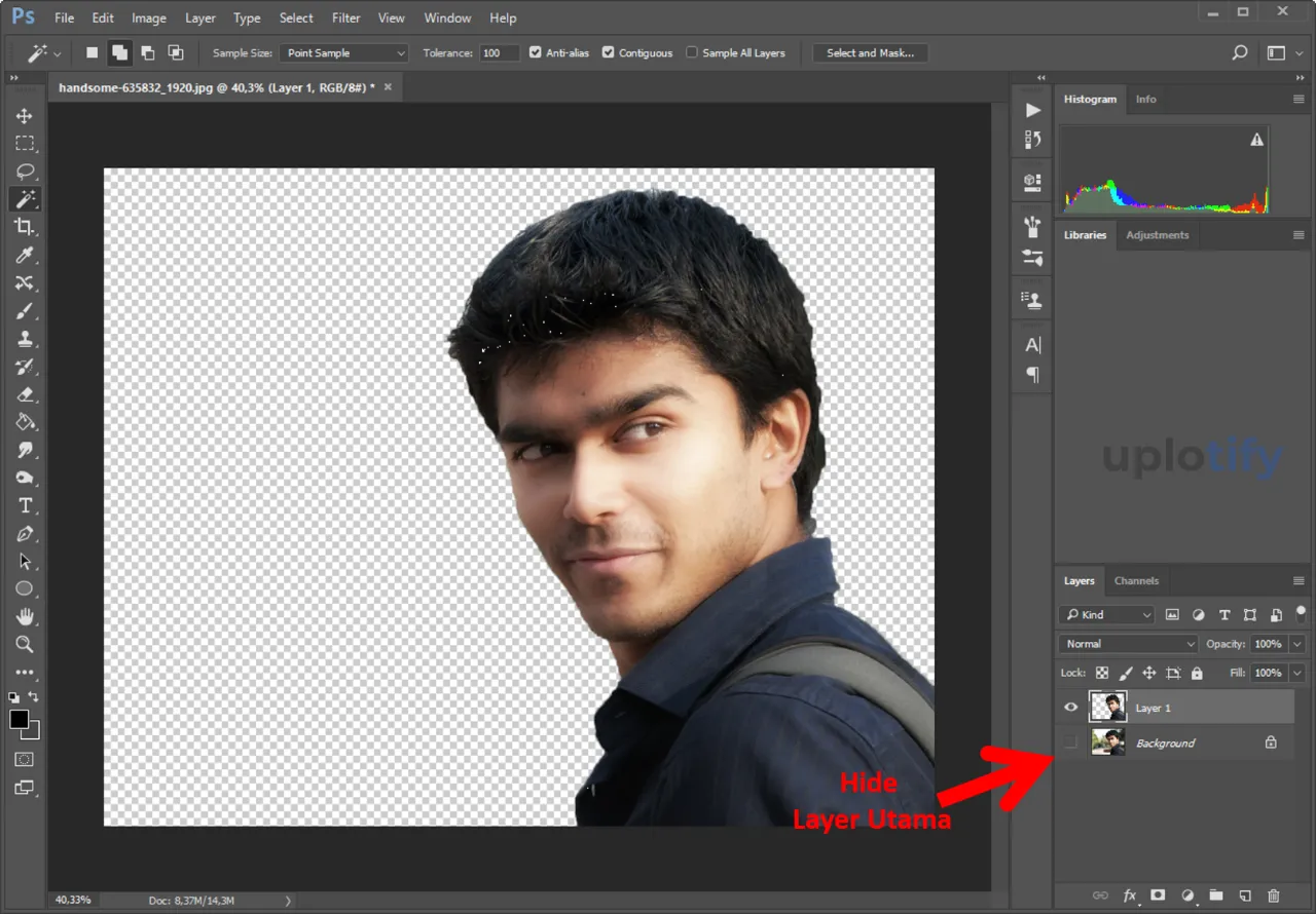 Cropping Dengan Magic Wand Tool