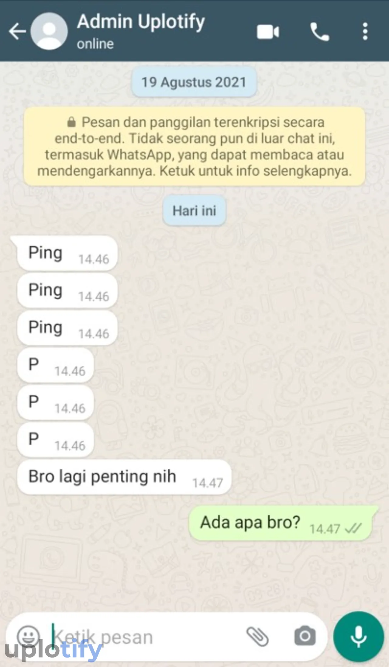 Istilah PING WhatsApp