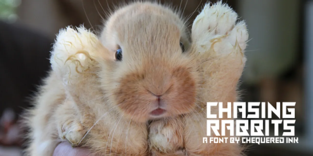 Font Logo Esport Chasing Rabbits