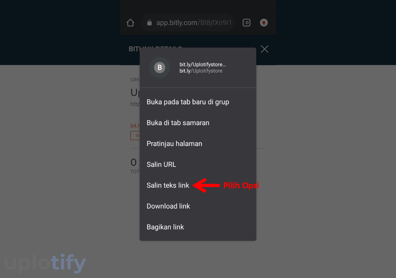 Salin Link Bitly