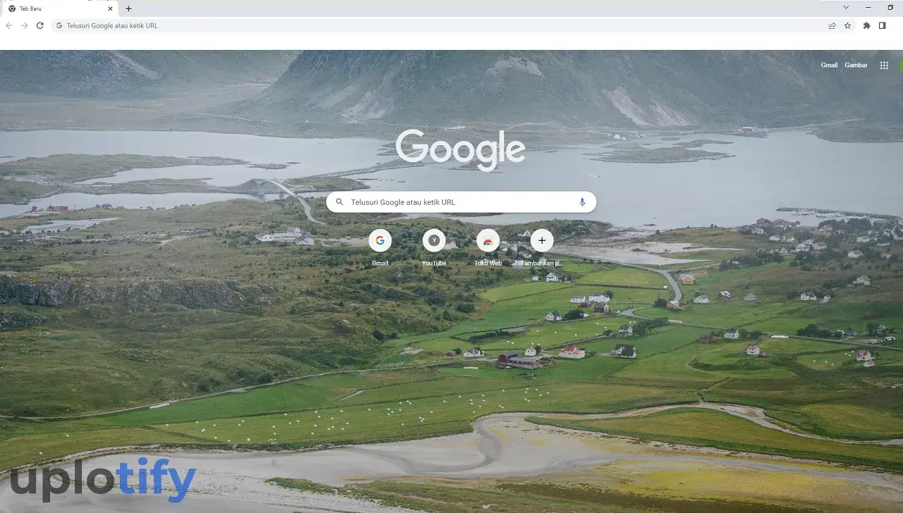 Contoh Google Chrome Dengan Tema Foto Sendiri
