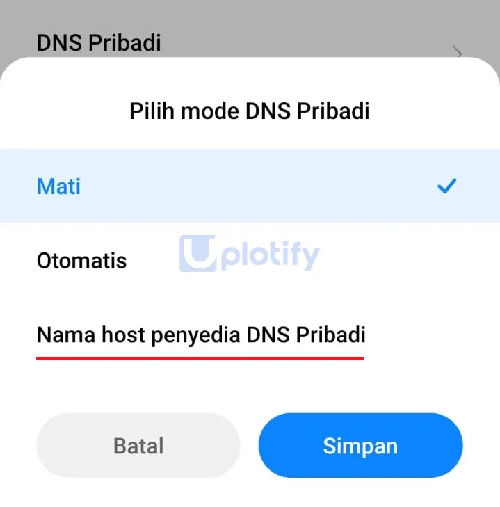 Pilih DNS Pribadi